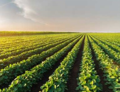 Domestic Water Lifting